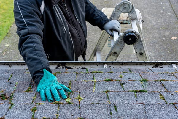 How Landscaping Affects Your Roof