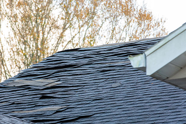 Common Roofing Problems in Minnesota and How to Prevent Them