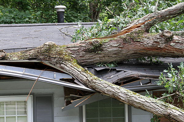 A Step-by-Step Guide to Handling Emergency Roof Repairs