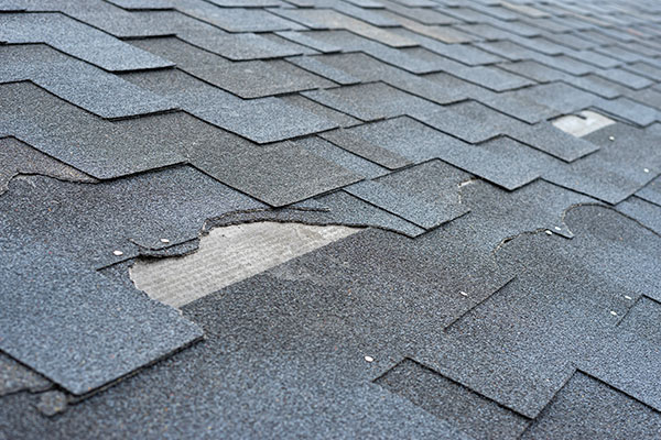 Top Signs You Need a New Roof in Blaine, MN